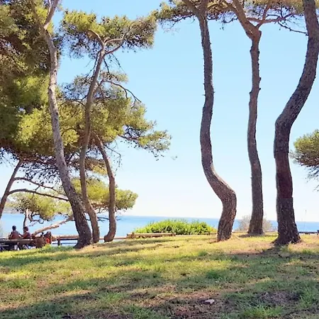 Сasa de vacaciones T5 House With Wifi - Garden And Terrace *