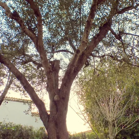 T5 House With Wifi - Garden And Terrace Сasa de vacaciones